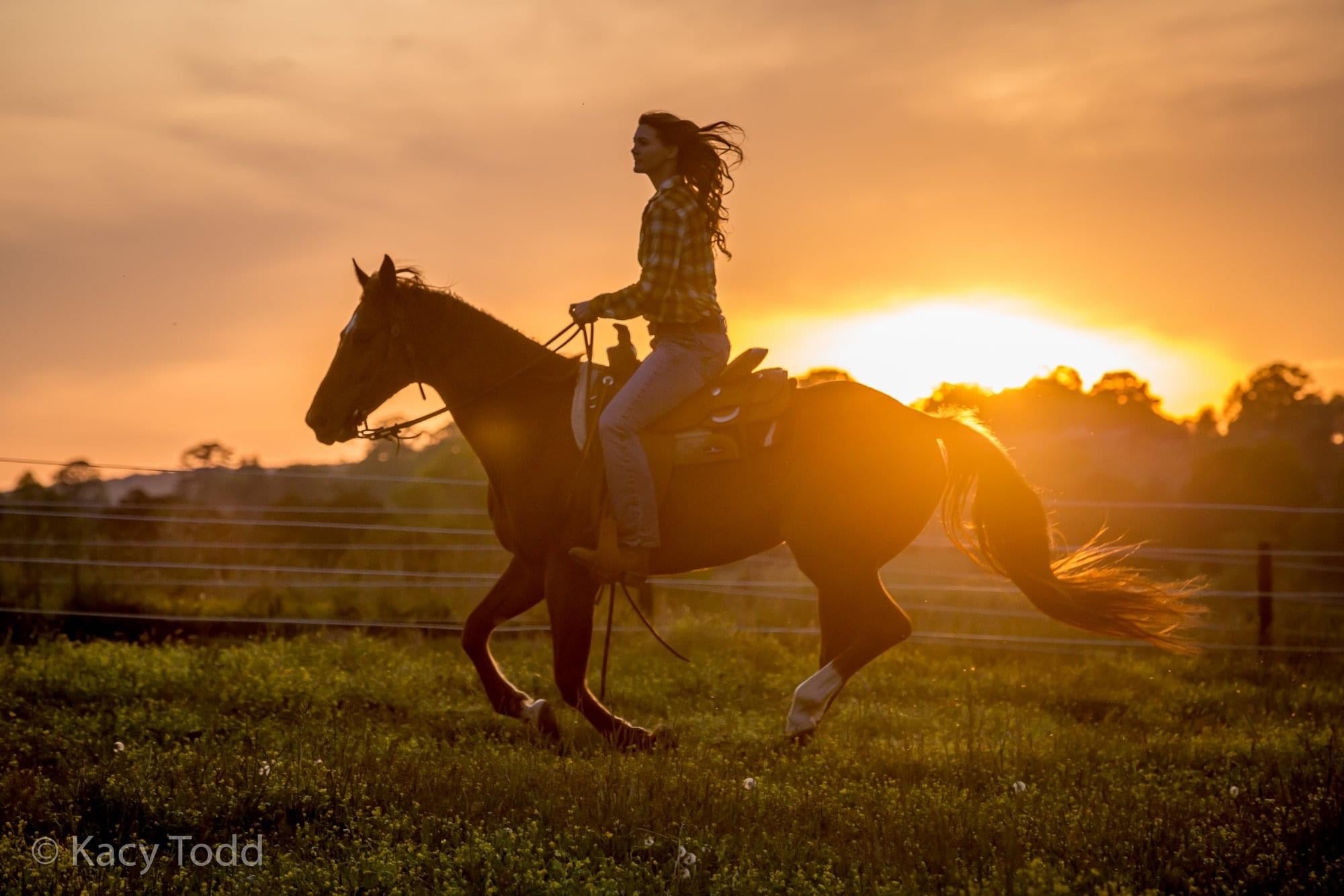 Home | Flat Rock Ranch - Horse Barn Near Chattanooga, TN